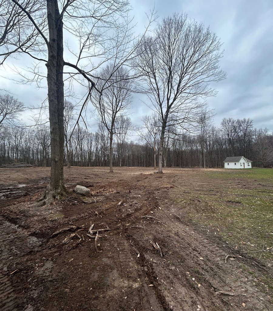 Property after clearing
