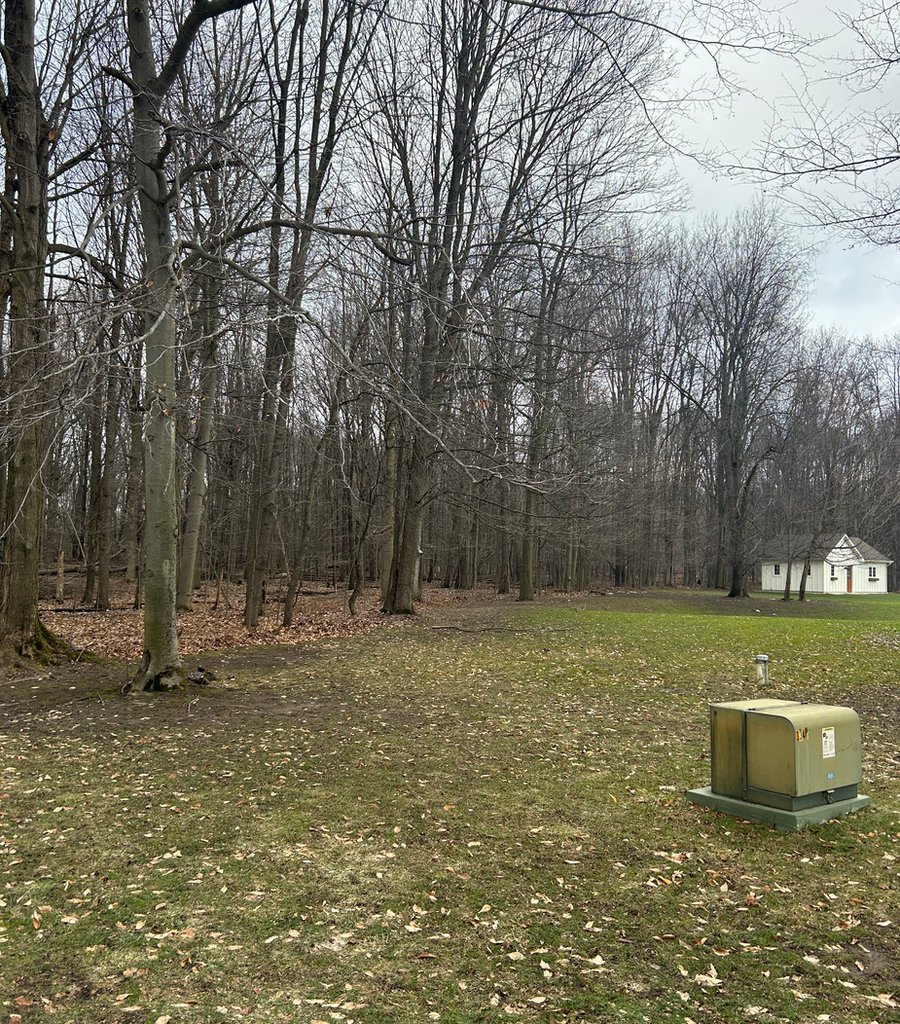 Property before clearing